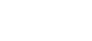 Formula 1